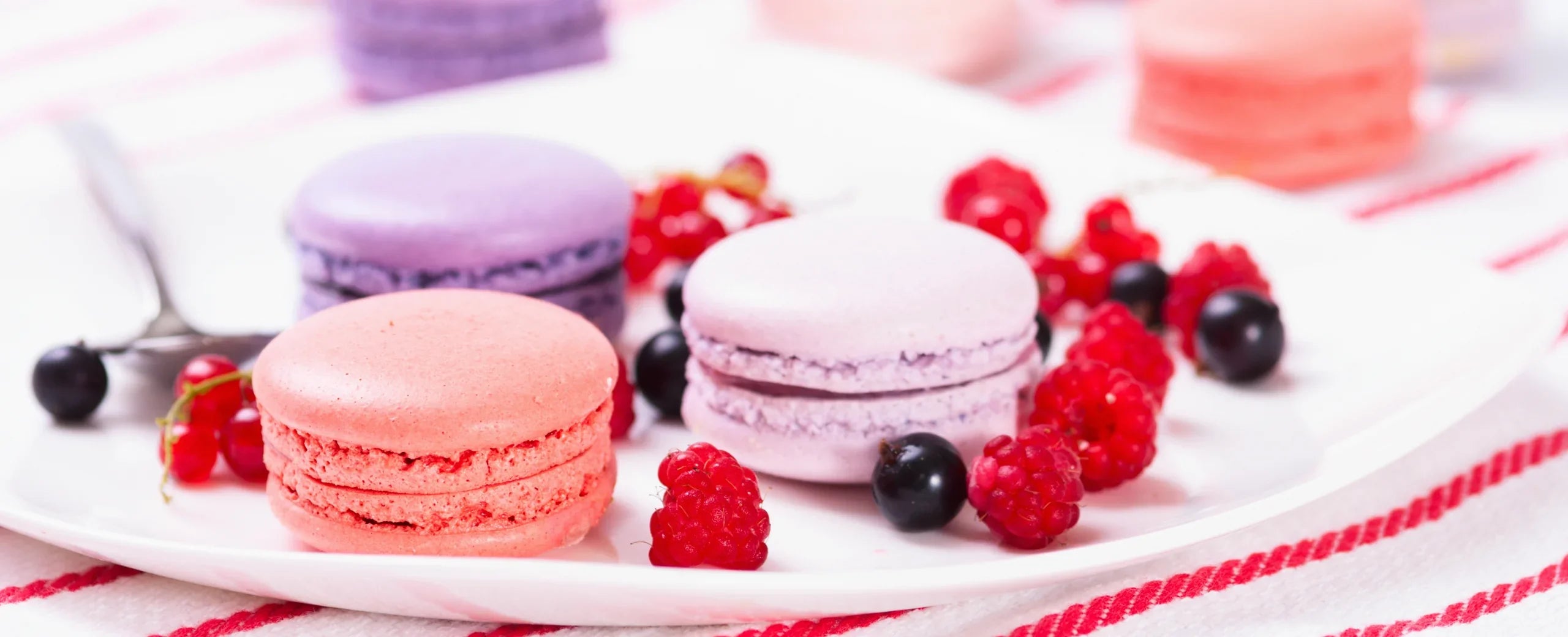 Spring Baking Essentials | Bulk & Wholesale Supplies – The One Stop ...