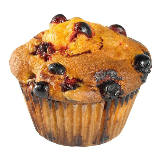 Orange Cranberry Yogurt Muffins