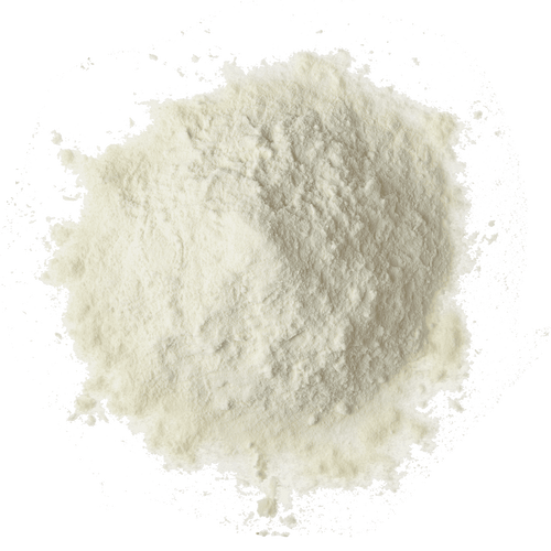 Buttermilk Powder 50 lb