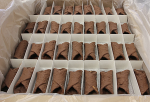 Small - Chocolate Covered Cannoli Shells - 200/3"