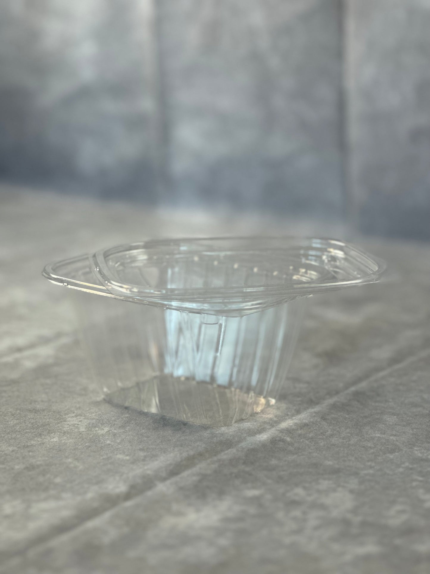 16 oz Clear Plastic Container with Lid - 250 Pieces