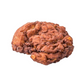 Rich's Jumbo Apple Fritter Donut