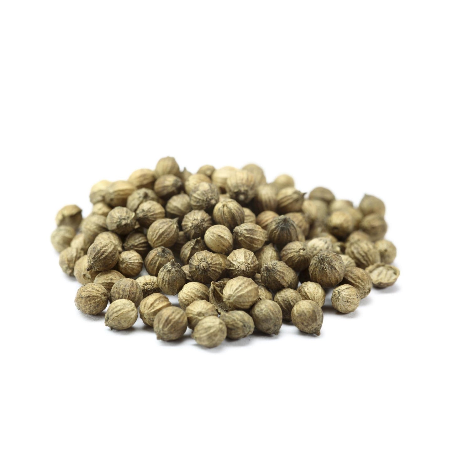 Whole Coriander Seeds