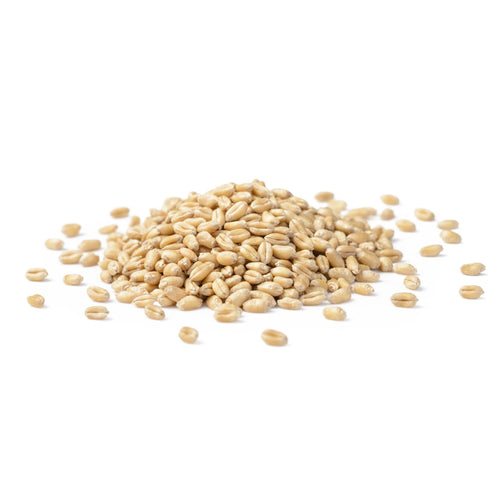 Grano - Pearled Wheat- 25 LB