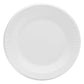 White Paper Plate